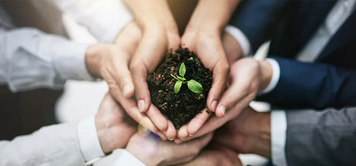 Surse regenerabile de energie